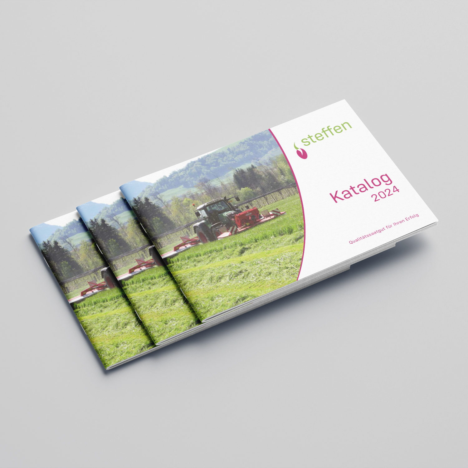 Samen STEFFEN AG Gemeinsam für Ihren Erfolg Samen STEFFEN AG